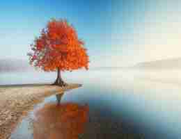 nodejs怎‍样‌打​开‍项‍目‌